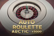 Auto Roulette Arctic X5000