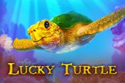 Lucky Turtle