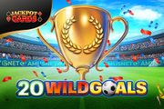20 Wild Goals